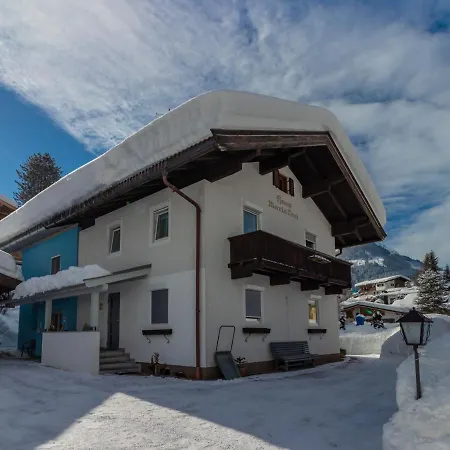 In Tirol With Private Garden Apartment *